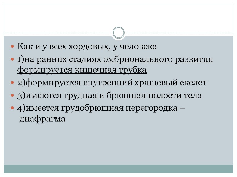 Как и у всех хордовых, у человека 1)на ранних стадиях эмбрионального развития формируется кишечная